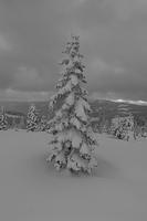 Robb_Hut_06_19_