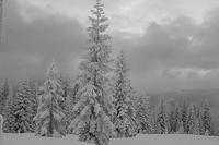 Robb_Hut_06_22_