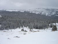 Snow Camping Carson Pass 07.JPG