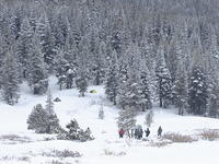 Snow Camping Carson Pass 07.JPG