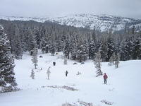 Snow Camping Carson Pass 07.JPG