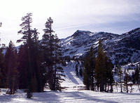 000_0214.JPG
