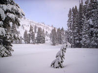 A week later, with Group 5 (more snow!)