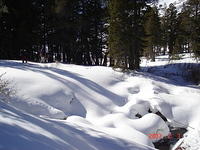 DSC01247.JPG