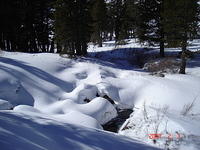 DSC01248.JPG