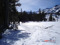 DSC01249.JPG