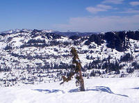 Underwood Canyon from Reba