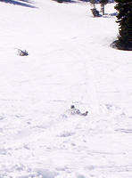 000_0286.JPG