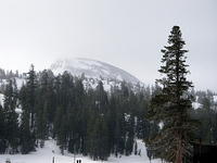 IMGP9616_2.jpg