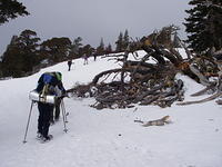 IMGP9619_2.jpg