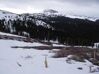 IMGP9628_2.jpg