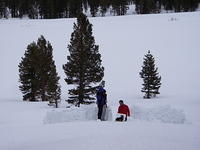 IMGP9639_1.jpg