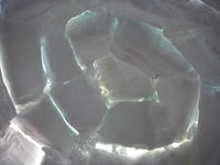 IMGP9648.jpg