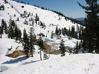 IMG_3357.jpg