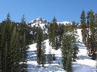IMG_3361_001.jpg