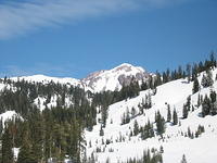 IMG_3365_001.jpg