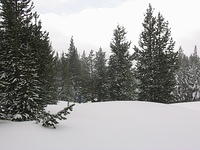 IMG_3162.jpg