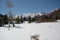 DSC_3986.JPG