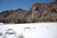 DSC_3987.JPG