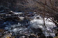 DSC_4022.JPG