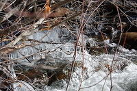 DSC_4025.JPG