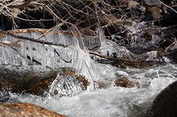 DSC_4029.JPG