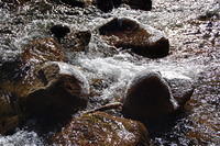 DSC_4032.JPG