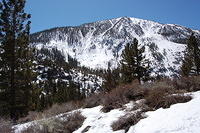 DSC_4056.JPG