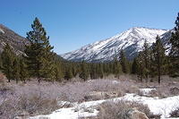 DSC_4057.JPG