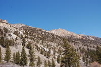 DSC_4059.JPG