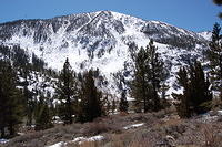 DSC_4061.JPG