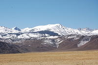 DSC_4102.JPG