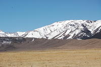 DSC_4103.JPG