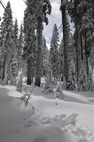 glacier_pt-9.jpg