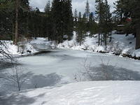 IMG_0196.jpg