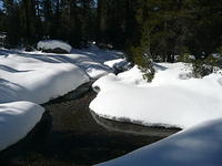 Cynthia's pics