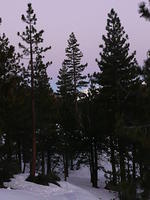P1000896.JPG