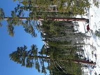 P1000910.JPG