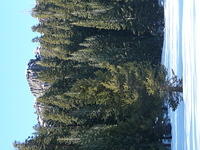 P1000930.JPG