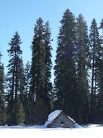 P1000936.JPG