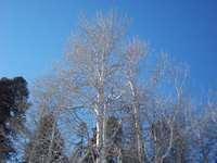 snowcamping_ 054.jpg
