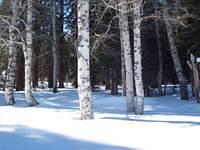 snowcamping_ 055.jpg