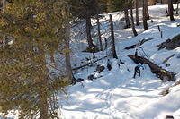 DSC_3395.JPG