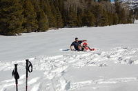 DSC_3445.JPG