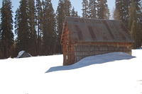 DSC_3446.JPG