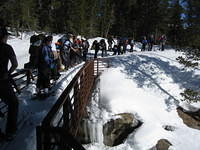 IMG_0273.jpg