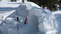 20100327_3126.jpg