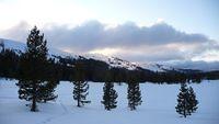 20100327_3158.jpg