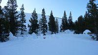 20100327_3170.jpg