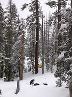 DSCN8648.JPG
